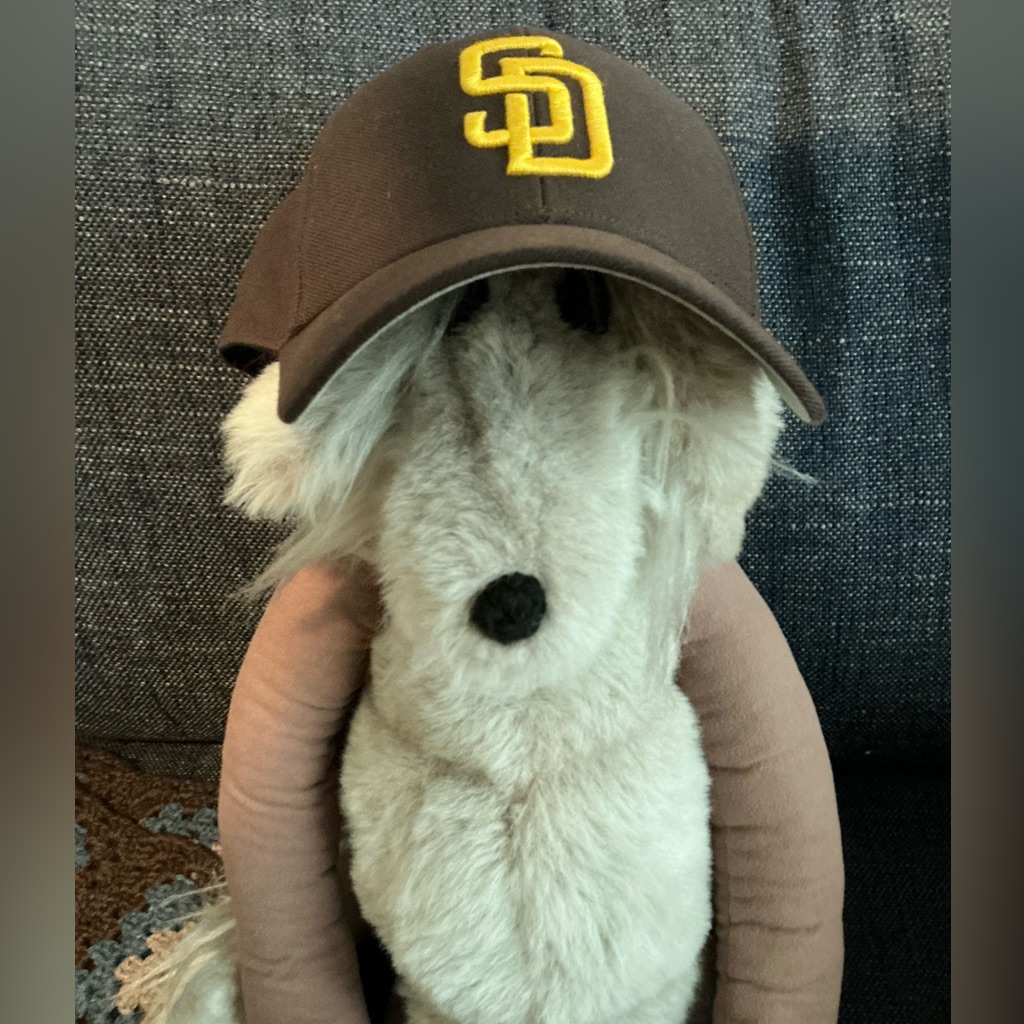 San Diego 47 Brand Cap